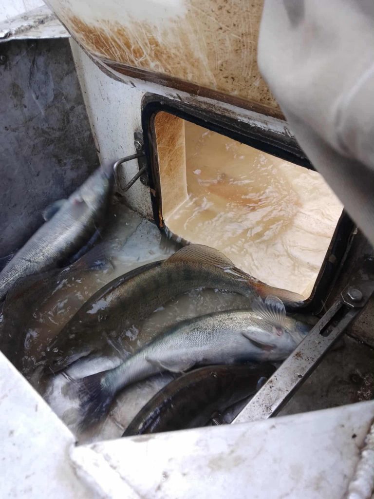 586881162_1343015401186258_7317937686468005811_n