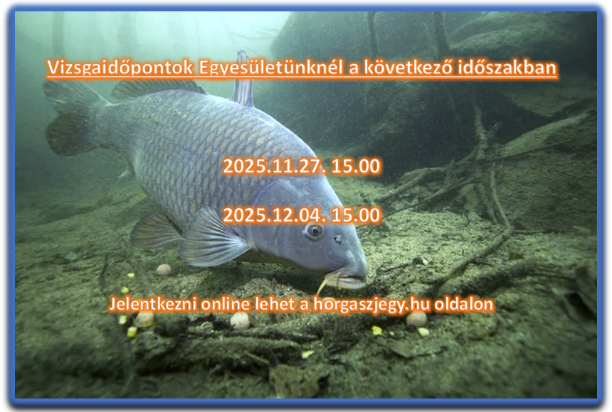 Képernyőkép 2025-11-14 101048