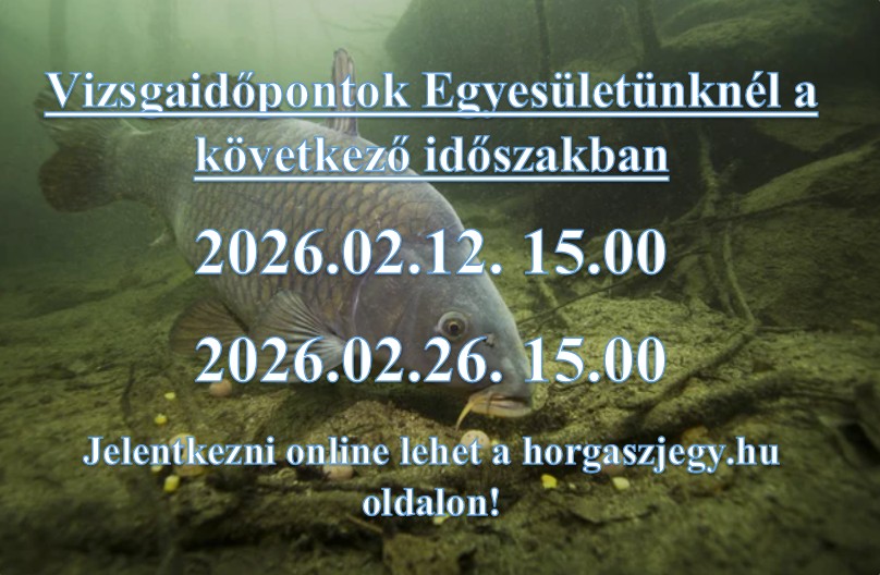 Képernyőkép 2026-01-27 115434