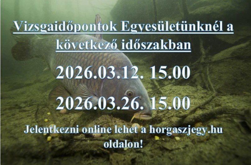 Képernyőkép 2026-02-24 100927