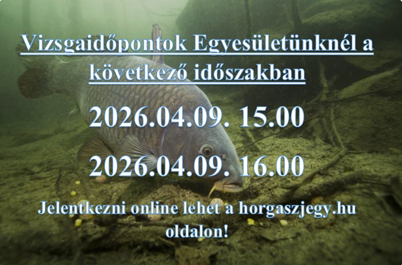 Képernyőkép 2026-03-10 130431