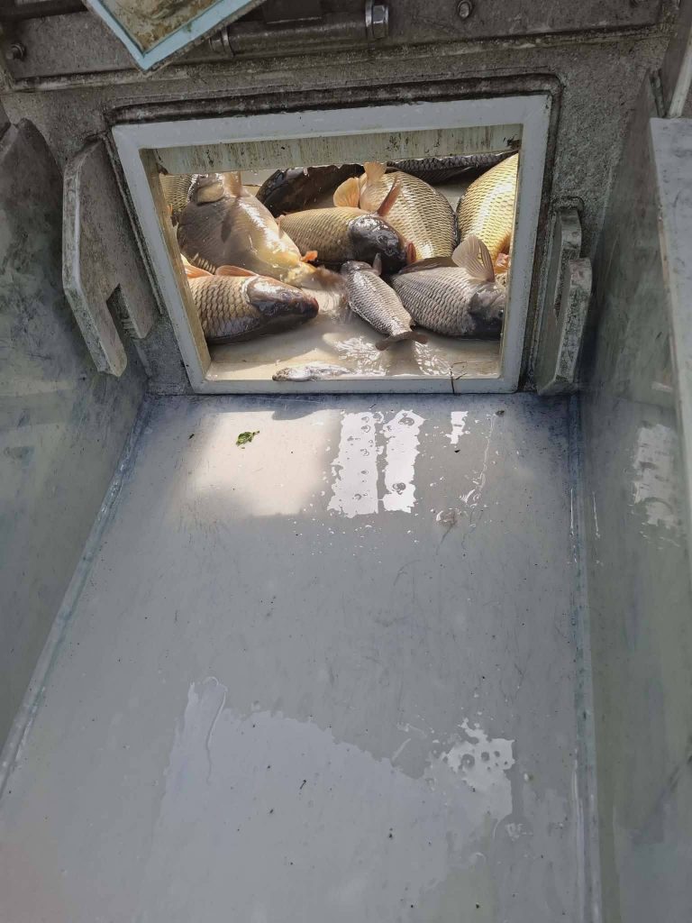 658177090_1452837753537355_32234636047324875_n