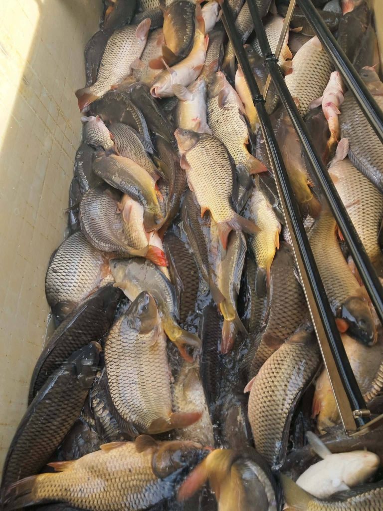 658838760_1452837040204093_4499364135403442309_n