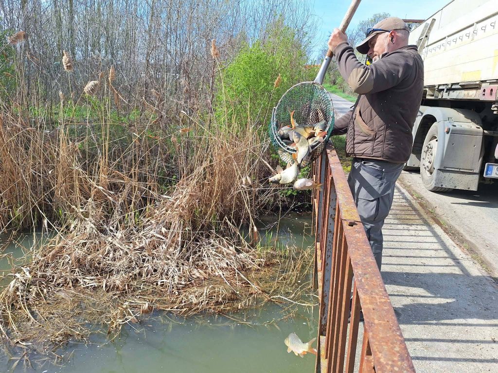 658949764_1452837210204076_6039954999478604485_n