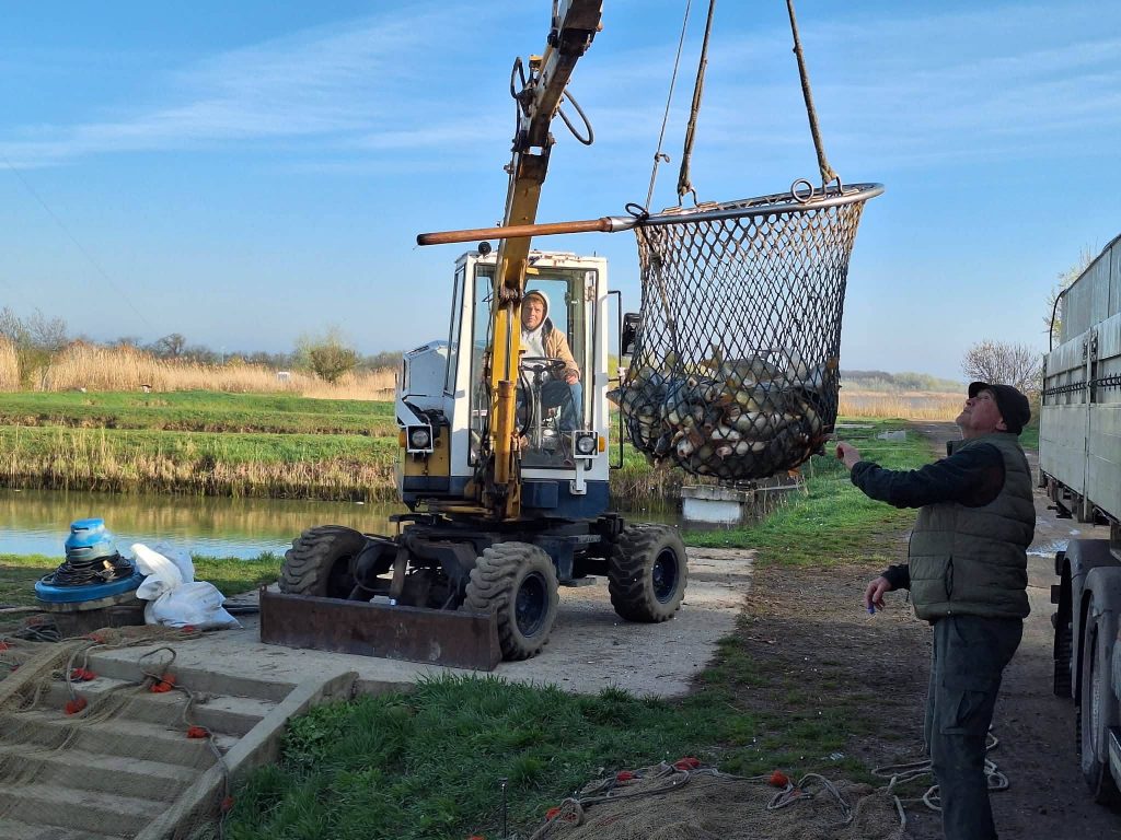 661387895_1452836986870765_3170819341936401094_n