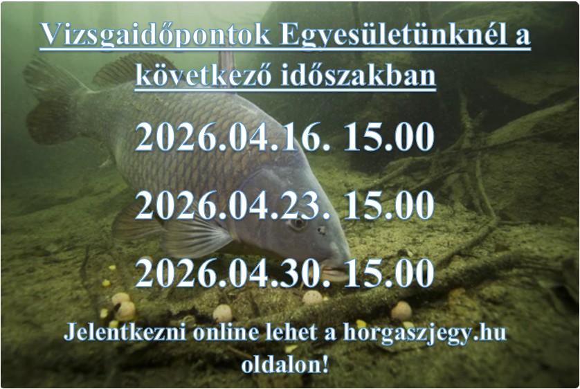 Képernyőkép 2026-04-07 111403