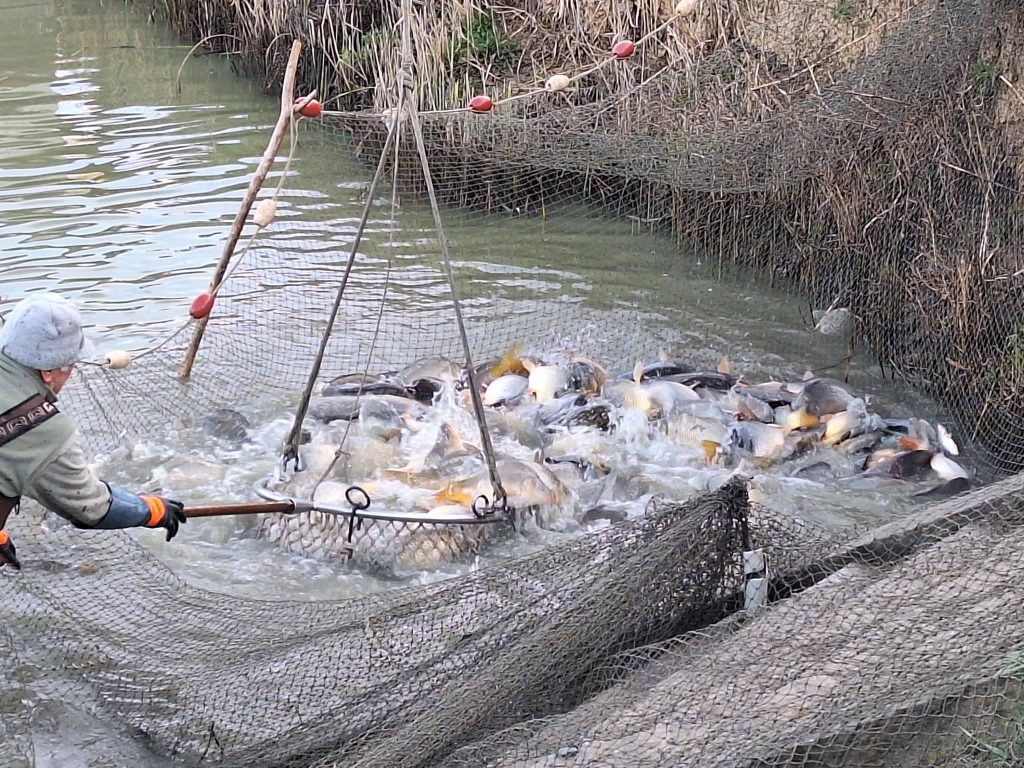 Telepítés 2026 04 02