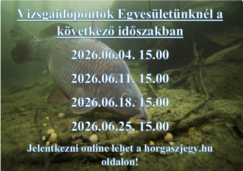 Képernyőkép 2026-05-22 104406