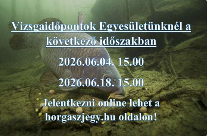 Képernyőkép 2026-06-04 104503