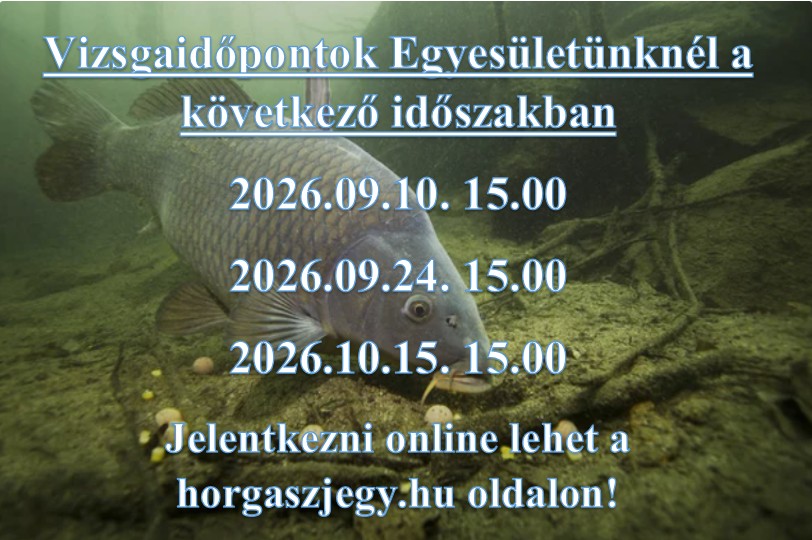 Képernyőkép 2026-08-25 103326
